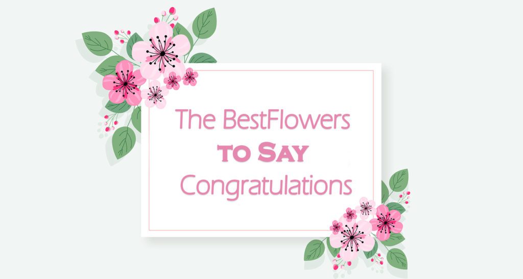 Congratulations Flowers to congratulate for achievement