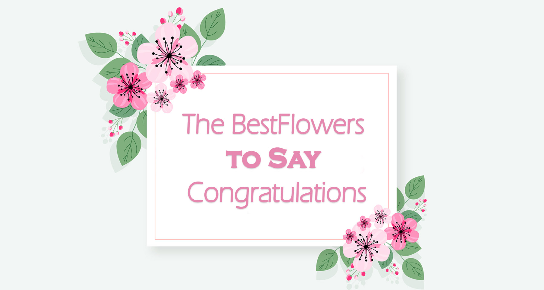 Send Congratulations Flowers Best Gifts For Congratulation