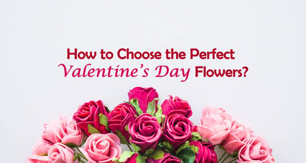 valentine's day flower delivery in qatar. black tulip flowers