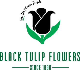 Black Tulip Flowers WLL
