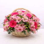 Alstroemeria black tulip florist 001