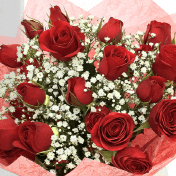 fresh red spray roses