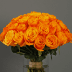 Bunch of Orange Roses-1