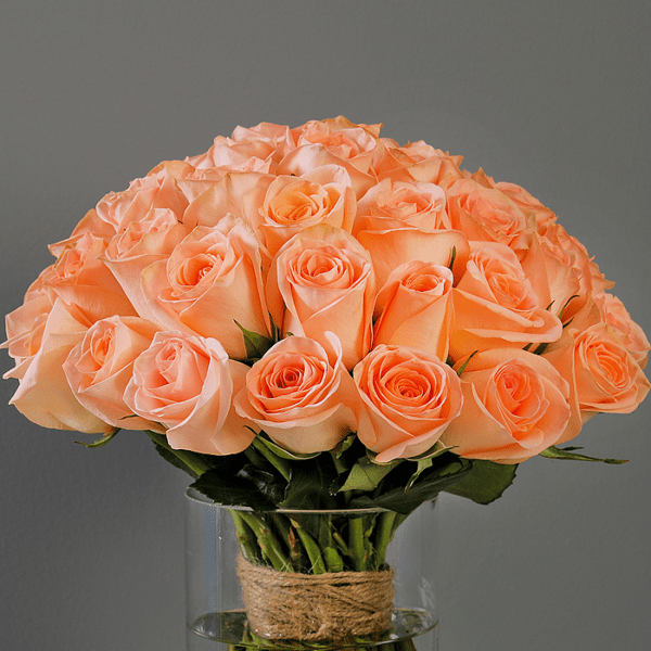 Bunch of Peach Roses