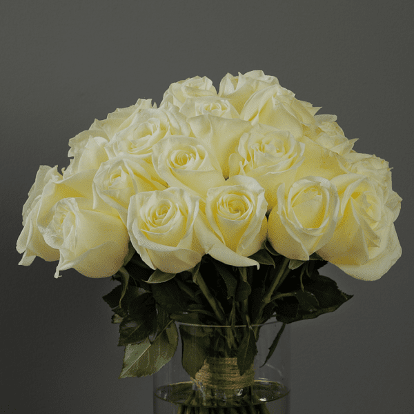 Bunch of White Roses