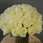 Bunch of White Roses-2