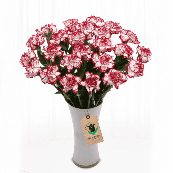 Bunches of Sexy Red carnation flower delivery