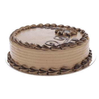 chocolate sponge cake online