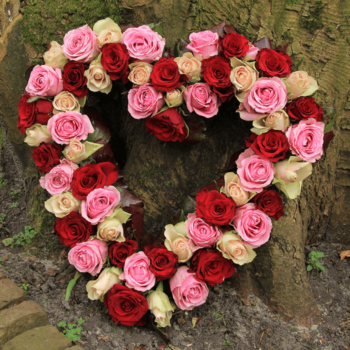 Heart Shape Mix Roses, a perfect gift from the heart