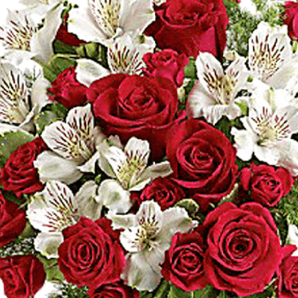Luxury Christmas Special Bouquet