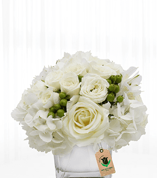 White Flowers Bouquet Pure and Natural Arrangement