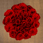 Red Rose in White Box-2