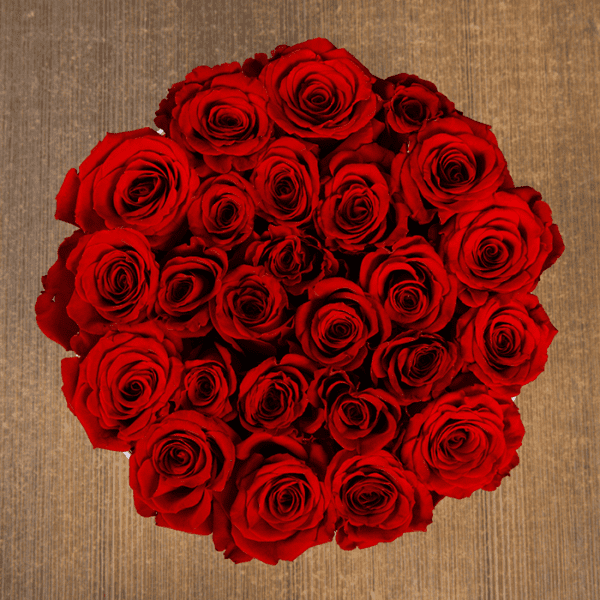 Red Rose in White Box