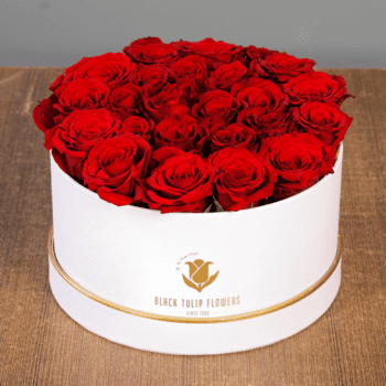 Red Rose in White Box
