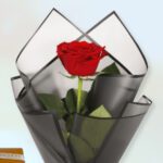 Single Rose in black wrap