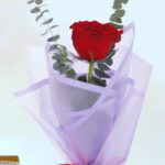 Created with GIMP