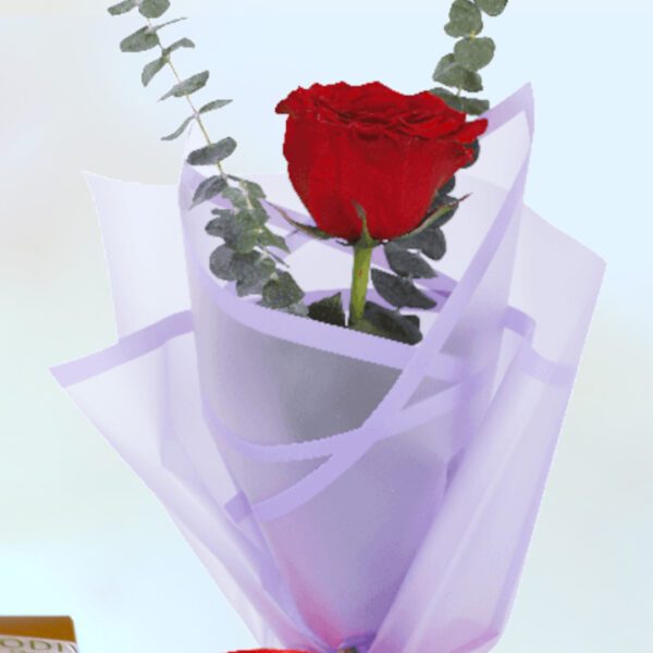 Single rose in purple wrap with Godiva
