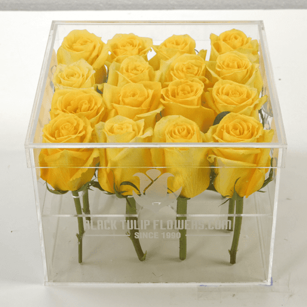 Yellow Rose in an Acrylic Box online