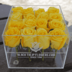 Yellow Rose in an Acrylic Box