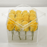 Yellow Rose in an Acrylic Box-2