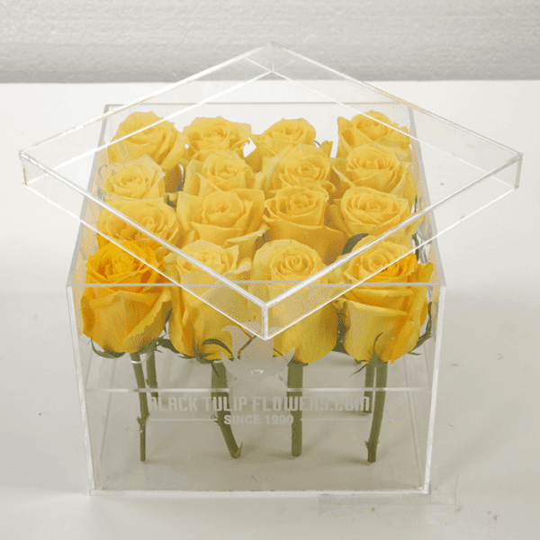 Yellow Rose in an Acrylic Box online