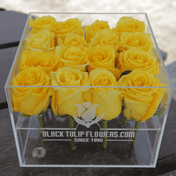 Yellow Rose in an Acrylic Box online