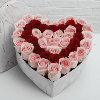 Pink and Red Roses in a heart shaped box