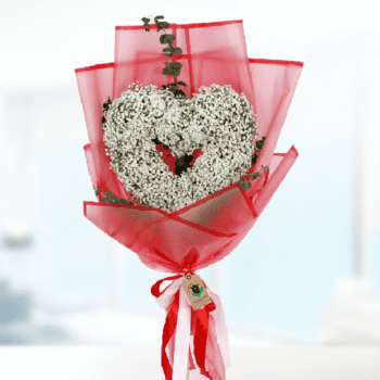 Valentines Special Gypsophila