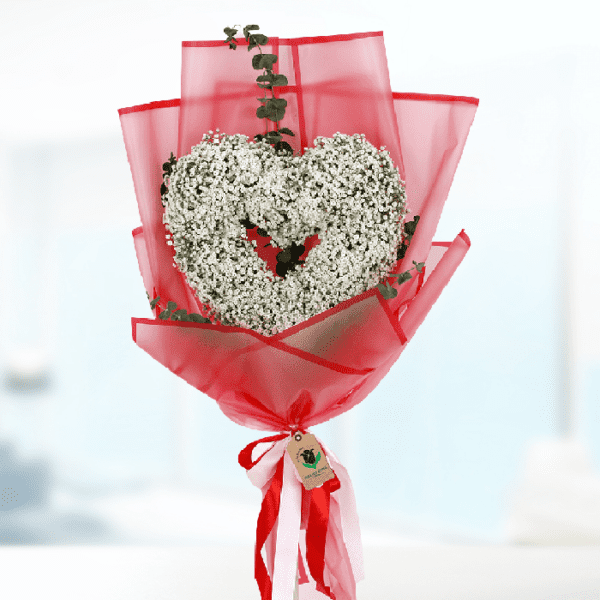 Valentines Special Gypsophila