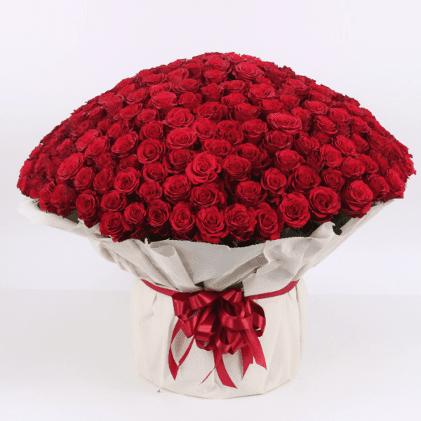 Beautiful Bouquet of 500 Red Roses, 500 red roses
