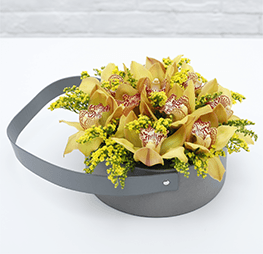 yellow Cymbidium in a velvet basket