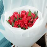 red tulips white wrapping 002