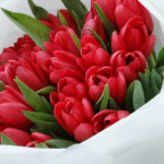 red tulips white wrapping 003