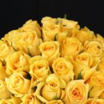yellow 75 roses box 003