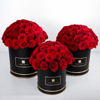 Classic Trio Red Roses in Black Box