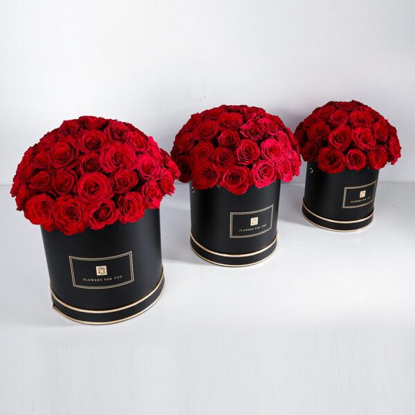 Red Roses in Black Box