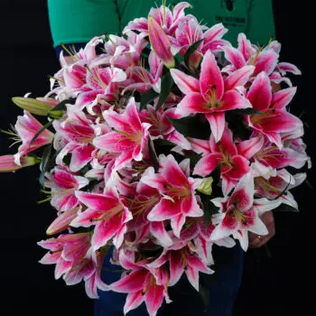 Feminine Lilies bouquet by Black Tulip Flowers