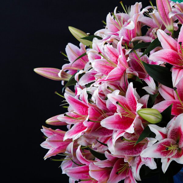 Feminine Lilies bouquet by Black Tulip Flowers