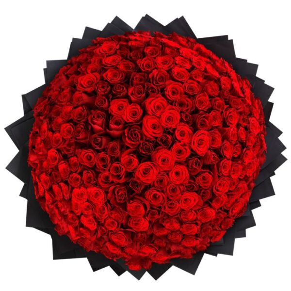 Pure Love (500 Red Roses Bouquet) by Black Tulip Flowers