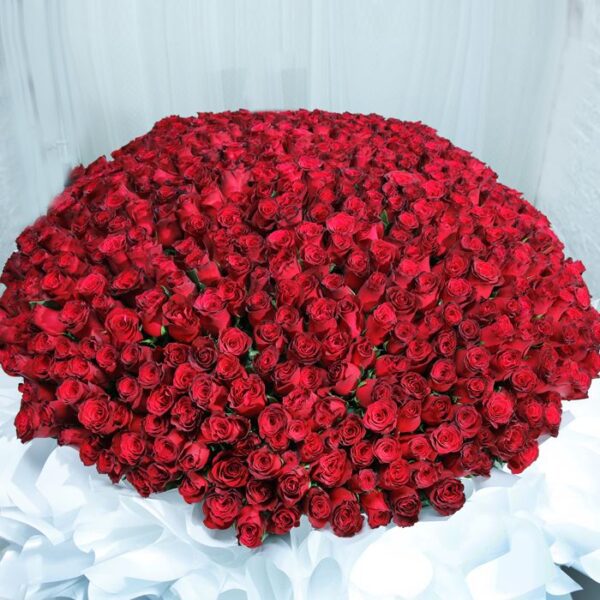 Pure Romance (700 Red Roses Bouquet) by Black Tulip Flowers