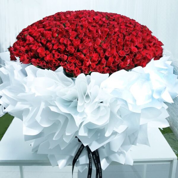 Pure Romance (700 Red Roses Bouquet) by Black Tulip Flowers