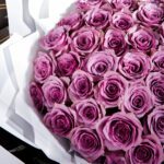 Purple Majesty (4)