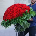 500 Red Roses for Valentine’s-2