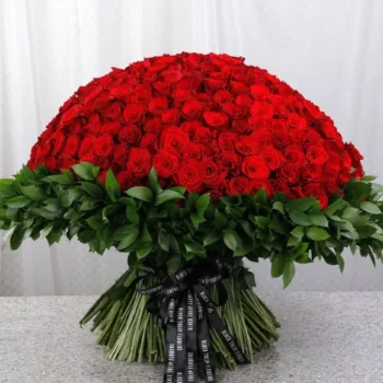 500 Red Roses for Valentine’s Bouquet by Black Tulip Flowers
