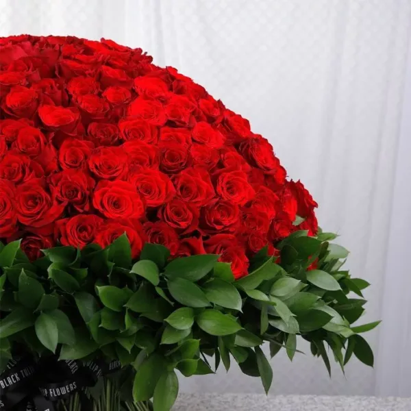 500 Red Roses for Valentine’s Bouquet by Black Tulip Flowers