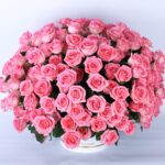 Dazzling Roses In A Box flowers bouquet
