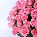 Dazzling Roses In A Box flowers bouquet