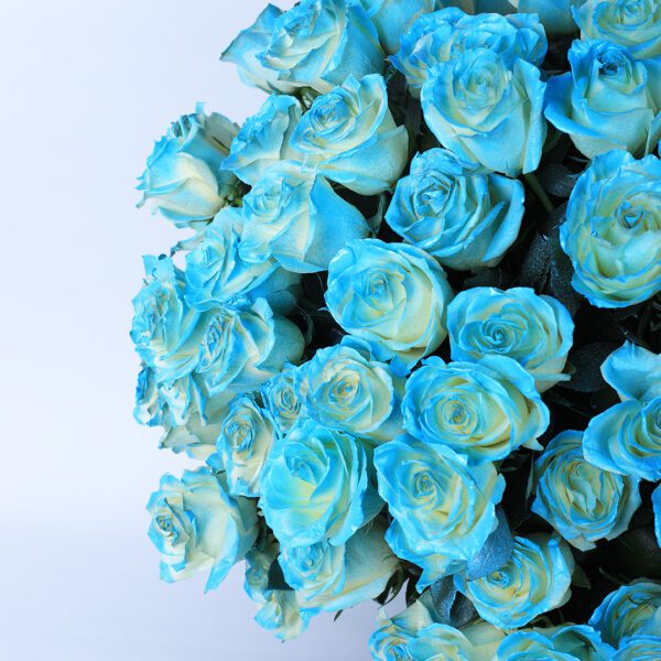 Excellent blue spray Roses In A Box