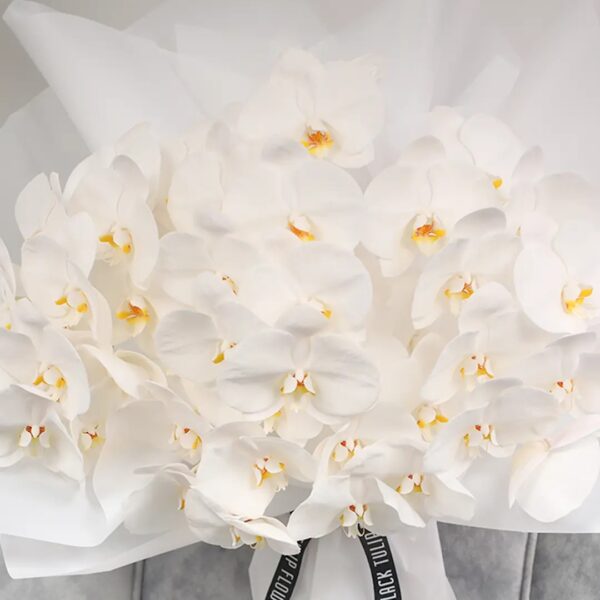 White Phalaenopsis Bouquet