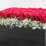 Black Tulip Flowers